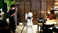 Robot putih seperti bayi penguin itu menyambut pelanggan yang datang.(Behrouz Mehri/AFP)  