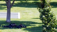 Seperti dilansir AFP, Jumat (20/8/2021), ancaman ledakan bom itu memicu evakuasi dan respons besar-besaran polisi, dan membuat kecemasan ke seluruh kota. AP Photo/Alex Brandon.