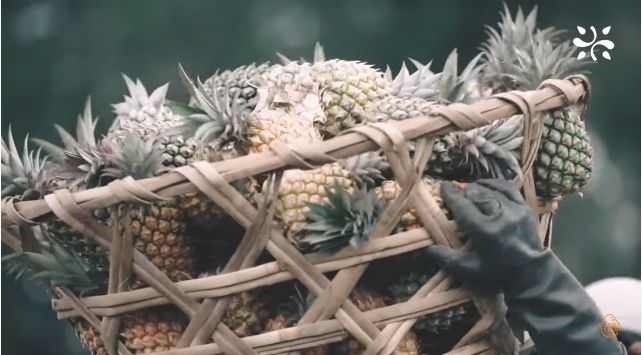 Inspiratif! Ibu Rumah Tangga Ini Sukses Berbisnis Minuman Sari Buah Nanas