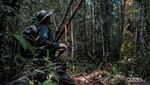 Sebahagia Ini Bisa Dapat Foto Orangutan