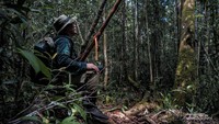 Pengamatan tenang agar tidak mengganggu aktivitas satwa.