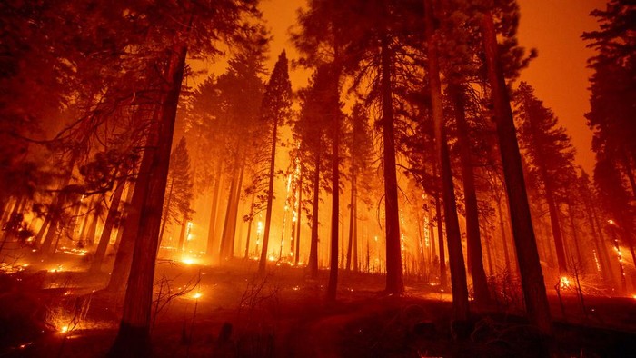 FILE - In this Tuesday, Aug. 17, 2021, file photo, in a long time exposure photo, embers fly from burning trees as the Caldor Fire growing on Mormom Emigrant Trail east of Sly Park, Calif. California has already surpassed the acreage burned at this point last year, which ended up setting the record. Now it’s entering a period when powerful winds have often driven the deadliest blazes. (AP Photo/Ethan Swope, File)
