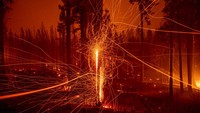 Seorang warga mengatakan sudah mencoba untuk kembali ke rumahnya yang terbakar namun tidak bisa. AP Photo/Ethan Swope  