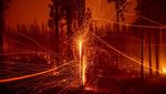 Merah Membara Kebakaran Hutan di California