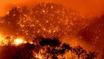 Merah Membara Kebakaran Hutan di California