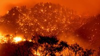 Kebakaran hutan terus meluas di California, Amerika Serikat. AP Photo/Noah Berger  