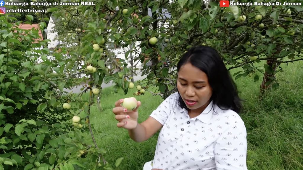 Seru! YouTuber Ini Panen Apel Liar dan Langsung Rujakan