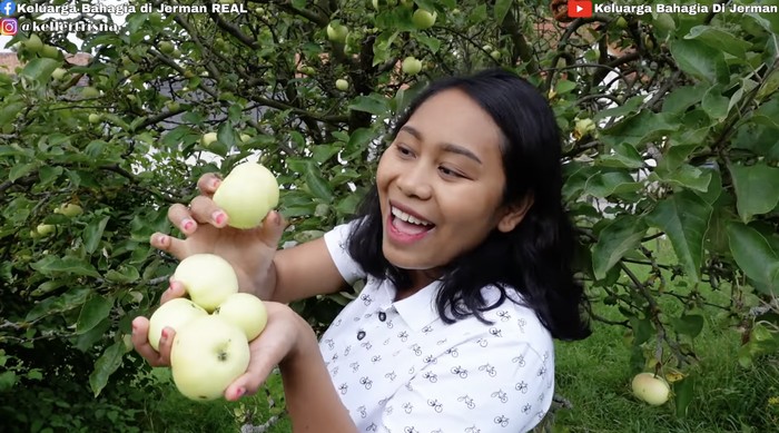 Seru! YouTuber Ini Panen Apel Liar dan Langsung Rujakan
