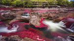 Foto: Warna-warni Sungai Pelangi di Kolumbia, Cantik!