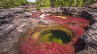 Kawasan wisata ini pun ditutup pada Desember 2019 dan diperpanjang karena pandemi. Saat dibuka kembali pada Juni 2021, tak ada wisatawan yang datang. (iStockphoto)