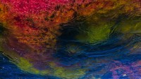 Ketidakhadiran wisatawan selama Cano Cristales tutup ternyata memberi efek baik pada ekosistem sungai. (iStockphoto)
