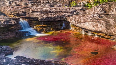 Foto: Warna-warni Sungai Pelangi di Kolumbia, Cantik!