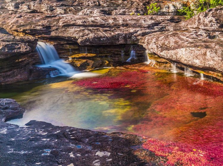 Foto: Warna-warni Sungai Pelangi di Kolumbia, Cantik!