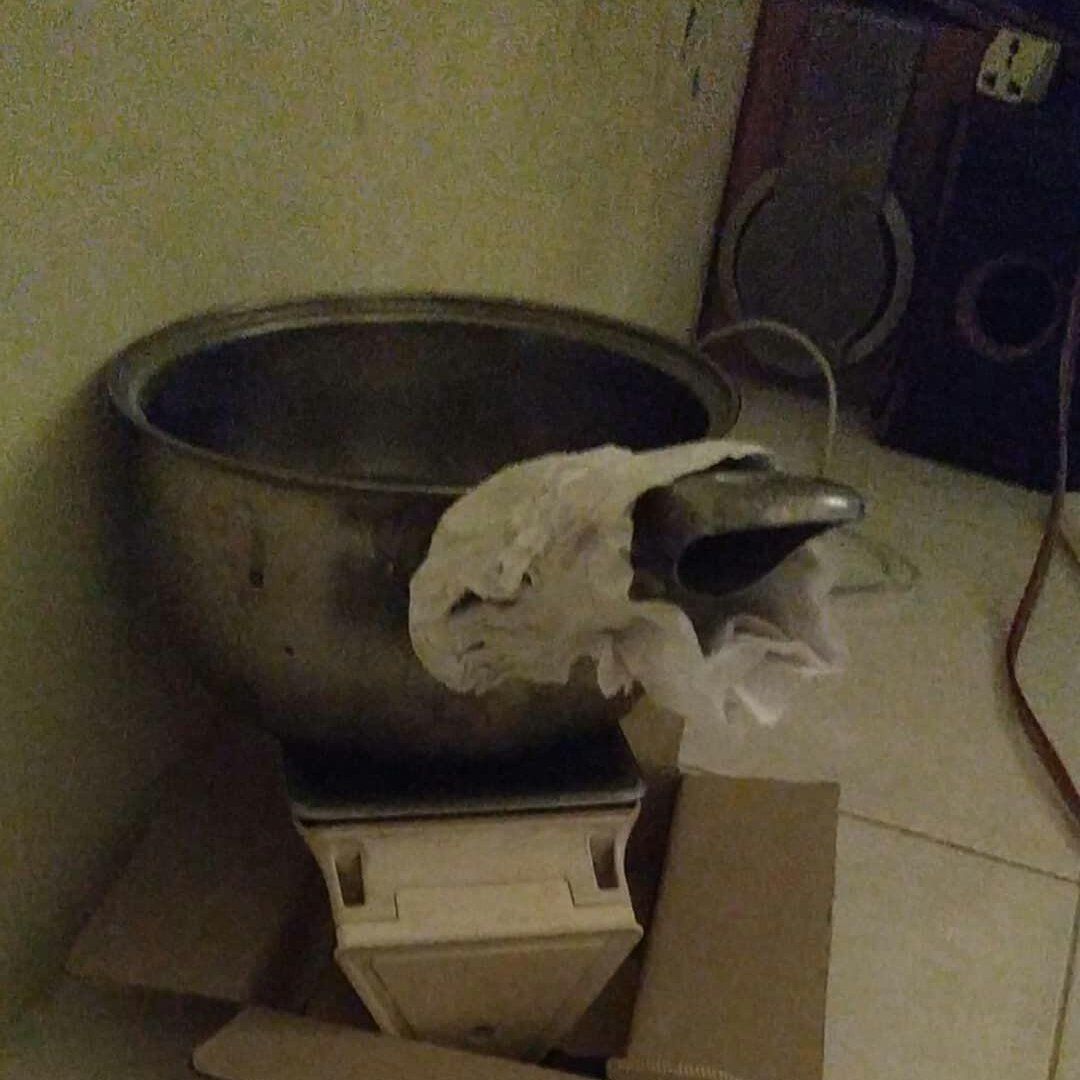 Kocak! Ini 3 Aksi Anak Kost Kepepet Saat Tak Punya Alat Makan