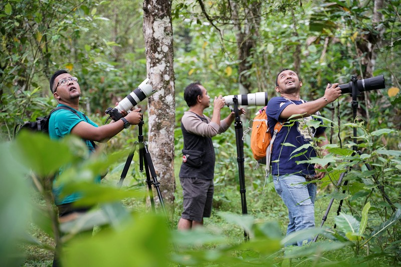 Hobi memotret sangat menyenangkan. Salah satunya memotret hewan liar seperti burung yang ada di alam bebas di Desa jatimulyo, Kulon Progo, Yogyakarta.