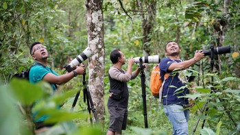 Menurut Pradit dan Munir, fotografer yang memotret burung-burung liar di Desa Datimulyo ini akan mendapatkan kepuasan tersendiri karena selain warna, polah tingkah burung sering membuat mereka tertegun kagum.