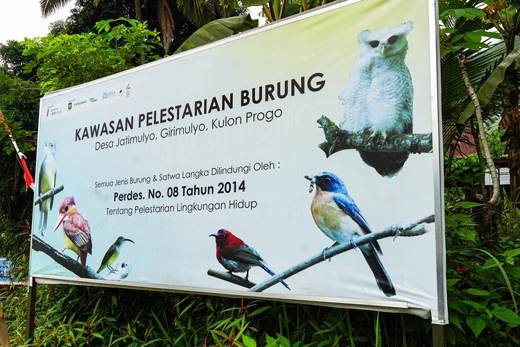 Hobi memotret sangat menyenangkan. Salah satunya memotret hewan liar seperti burung yang ada di alam bebas di Desa jatimulyo, Kulon Progo, Yogyakarta.