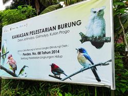Menyalurkan Hobi Fotografi di Desa Ramah Burung Kulon Progo