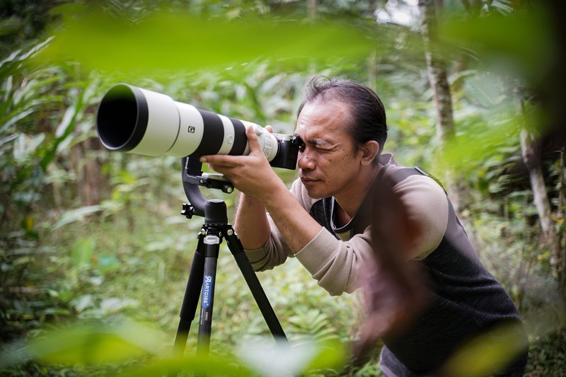 Hobi memotret sangat menyenangkan. Salah satunya memotret hewan liar seperti burung yang ada di alam bebas di Desa jatimulyo, Kulon Progo, Yogyakarta.