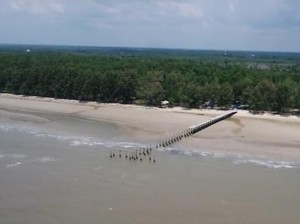 Melihat Pesona Pulau Rupat di Riau Lewat Rumah Digital Indonesia