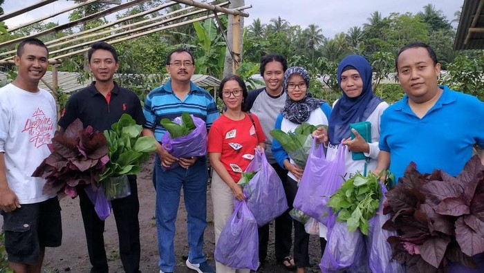 Resign Dari Bank BUMN, Dedy Kini Sukses Jadi Petani Organik