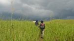 Penampakan Jalan Arwah dari Papua