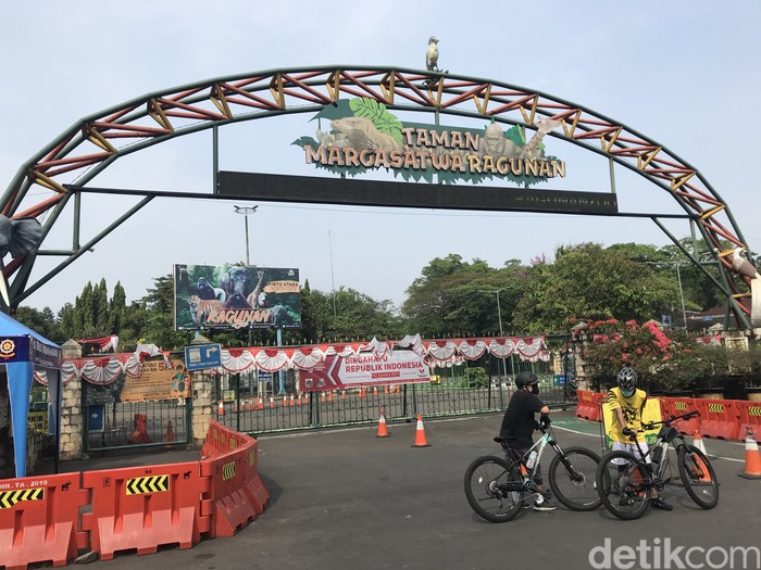 Taman Margasatwa Ragunan belum beroperasi. Warga belum bisa berolahraga outdoor di lokasi (Firda Cynthia/detikcom)