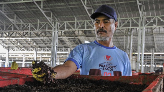 Pekerja memilah cacing tanah jenis Lumbricus rubellus yang akan dipanen, Jatiluhur, Bekasi, Jawa Barat, Minggu (22/8/2021). Cacing yang digunakan untuk pakan ternak tersebut dijual dari harga Rp50 ribu hingga Rp100 ribu per Kg dengan omzet per bulan mencapai Rp60 juta. ANTARA FOTO/ Fakhri Hermansyah/hp.