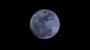 Jika cuaca cerah, fenomena blue moon atau Bulan biru itu akan tampak sangat jelas di langit tadi malam, Minggu (22/8). Seperti yang terlihat di Lombok Mataram ini. Gimana? detikers sempat menyaksikan Blue Moon ini nggak? (ANTARA FOTO/Ahmad Subaidi)