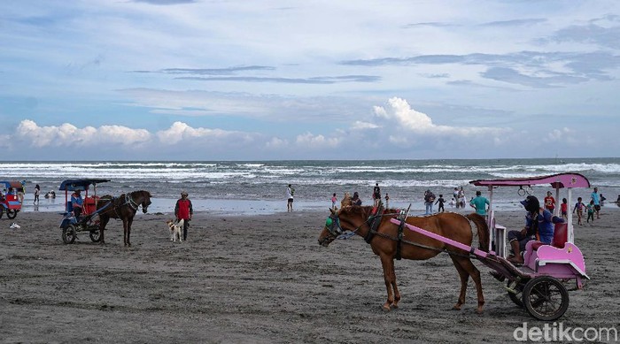 Meski masa PPKM belum usai dan objek wisata belum dibuka, namun warga sudah kangen piknik. Mereka berbondong-bondon datangi pantai Parangtritis.