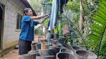 Kisah Tunanetra Penderes Nira di Kulon Progo