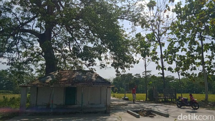 Kompleks makam kuno di tengah sawah di Klaten. Kompleks makam kuno ini disebut-sebut makam Sunan Cempo.