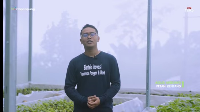 Mantap! Petani Milenial Ini Mampu Ekspor 30 Ton Kentang Tiap Bulan