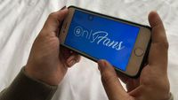 OnlyFans Batal Larang Konten Porno!!