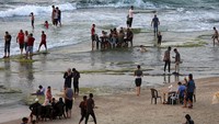 Beberapa dari mereka juga memanfaatkannya untuk berjemur di pantai.  