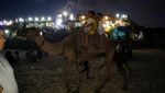 Pantai Gaza Diserbu Warga Palestina