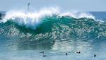 Serunya Menerjang Ombak di Laut California