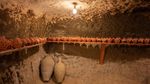 Cappadocia Pesonamu... Enggak Habis-habis
