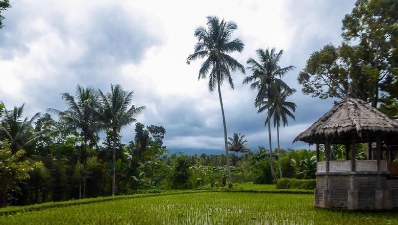 Desa Tetebatu resmi wakili Indonesia di ajang Desa Wisata Dunia