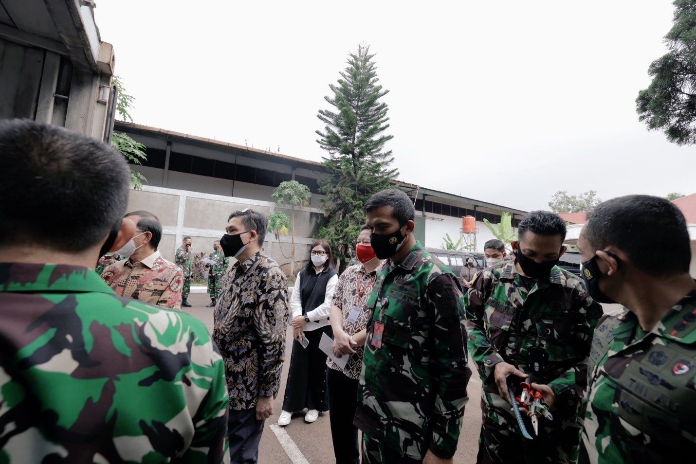 Dok: Sasa