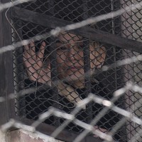 Jeanine Anez dijebloskan ke penjara pada Maret 2021 atas tuduhan keterlibatannya dalam kudeta untuk menggulingkan Morales yang telah 14 tahun berkuasa. Ia disebut melakukan genosida terhadap pengunjuk rasa kala itu. (Foto: AP/Juan Karita)