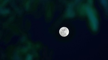 Fenomena Blue Moon terlihat dari Desa Kismoyoso, Ngemplak, Boyolali, JawaTengah, Minggu (22/8/2021). Abu vulkanik dan kabut asap, droplet di udara, atau jenis awan tertentu dapat menyebabkan Bulan purnama tampak kebiruan. ANTARA FOTO/Yusuf Nugroho