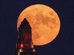 Penampakan Blue Moon di Berbagai Negara