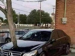 Awas Mata Terkecoh! Lihat Foto Ini dengan Seksama