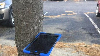 HP menempel di pohon? Foto: dok reddit.com/confusing_perspective