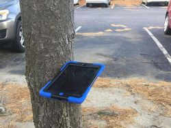 Awas Mata Terkecoh! Lihat Foto Ini dengan Seksama