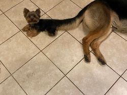 Awas Mata Terkecoh! Lihat Foto Ini dengan Seksama