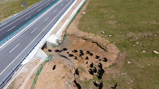Jalan Tol Tertinggi di Dunia