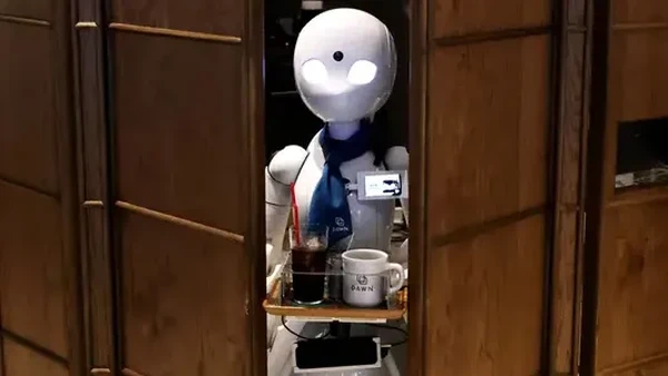 Sekitar 20 robot mini dengan mata berbentuk almond duduk di kafe. Mesin bernama OriHime ini punya fitur kamera, mikrofon dan speaker untuk memungkinkan pelayan berkomunikasi dengan pelanggan dari jarak jauh. (Behrouz Mehri/AFP)