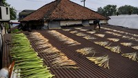 Tapi, di tangan emak-emak kreatif ini gulma disulap menjadi kerajinan yang memiliki nilai guna dan berharga. Hasil kerajinannya itu menjadi produk yang bermanfaat dan bernilai ekonomi tinggi. Ini adalah proses penjemuran eceng gondoknya.